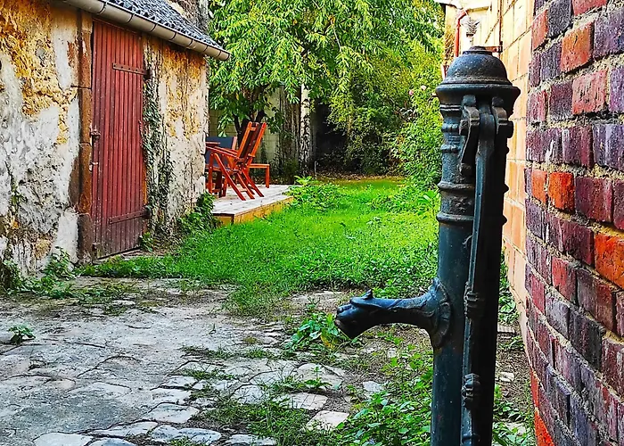 Maison Avec Jardin En Centre Ville - Proche Gare Et Circuit 24H Du Mans